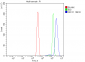 Anti-XRCC1 Antibody Picoband™ (monoclonal, 10E10)